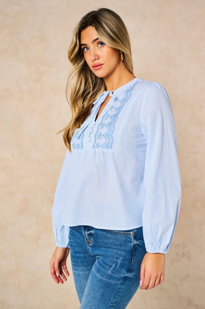 Embroidered Pinstripe Long Sleeve Cotton Shirt in Blue